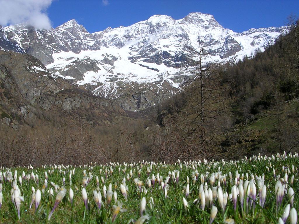 Monte Rosa Valsesia - Dintorni